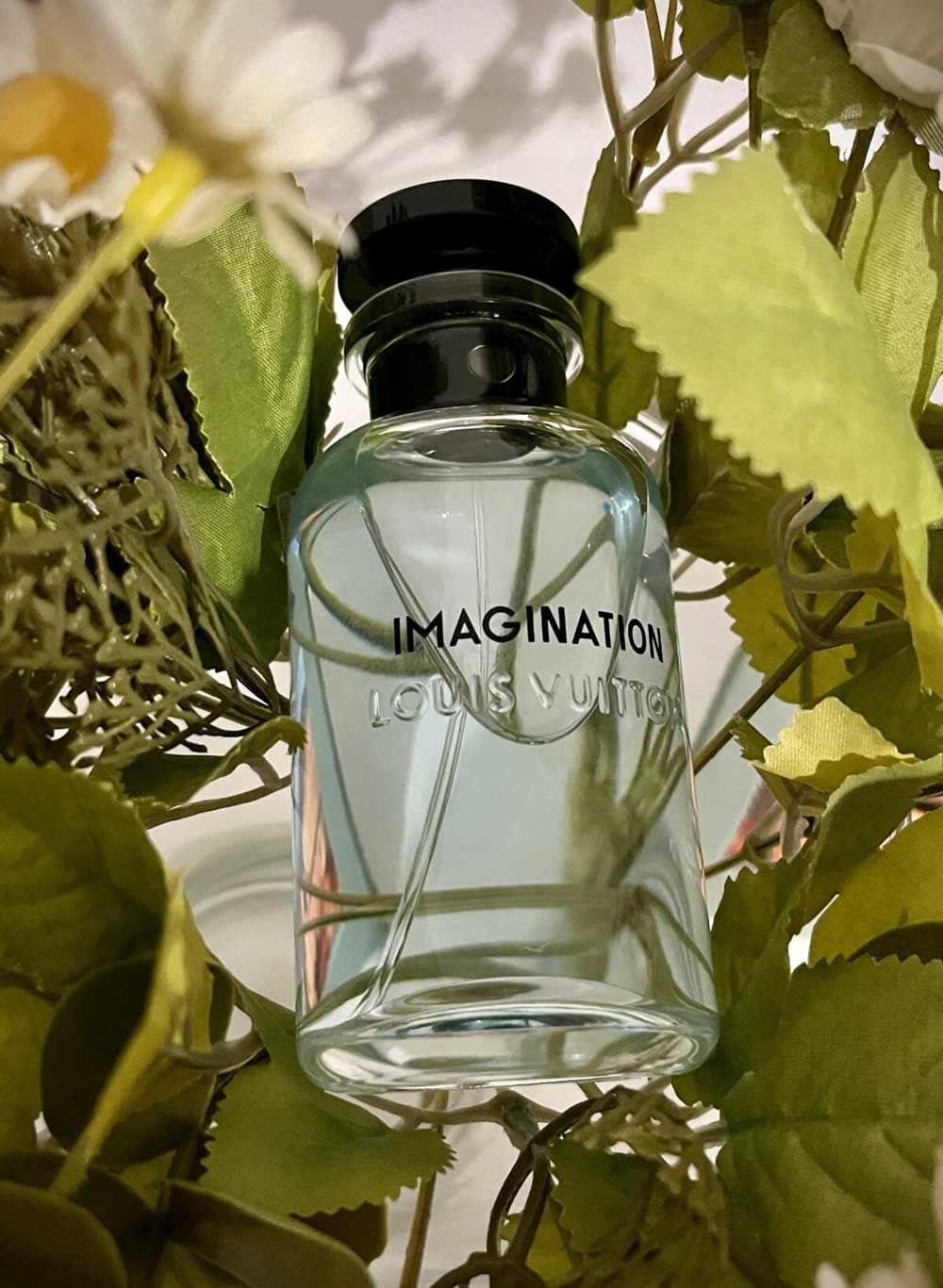Louis Vuitton Imagination  ✨ ( SUPER CLONE )